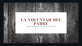 El Plan del Padre. Romanos 5:1-2 Nueva Versión Internacional - Español