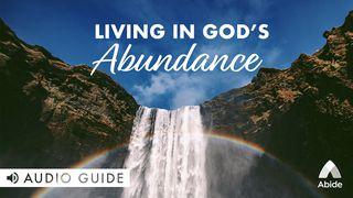 Living In God's Abundance Proverbs 3:9-10 Contemporary English Version Interconfessional Edition