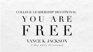 You Are Free Matthew 11:28 King James Version, American Edition