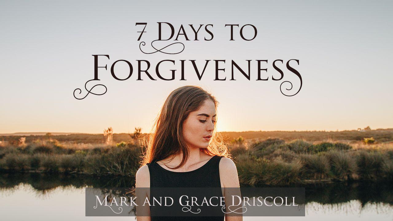 7 Days To Forgiveness