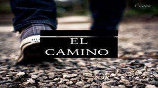 El Camino. JOHANNES 8:2 Nuwe Lewende Vertaling