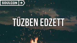 Tűzben Edzett Cselekedetek 2:23 Revised Hungarian Bible