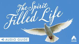 The Spirit Filled Life Galatským 5:16-18 Český studijní překlad