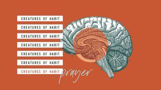 Creatures of Habit: Prayer   The Books of the Bible NT