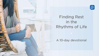 Finding Rest in the Rhythms of Life Psalms 149:4 New Living Translation