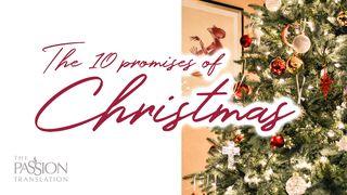 The 10 Promises of Christmas Matthew 19:28-30 The Message