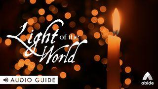 Light of the World John 3:36 Christian Standard Bible