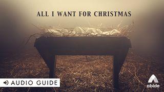 All I Want for Christmas Ecclesiastes 11:5 New International Version (Anglicised)