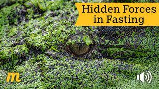 Hidden Forces in Fasting Matthew 6:1-4 New Living Translation
