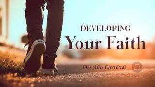 Developing Your Faith Hebrews 11:1-2 The Message