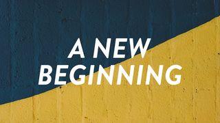 A New Beginning Proverbs 15:14 New King James Version