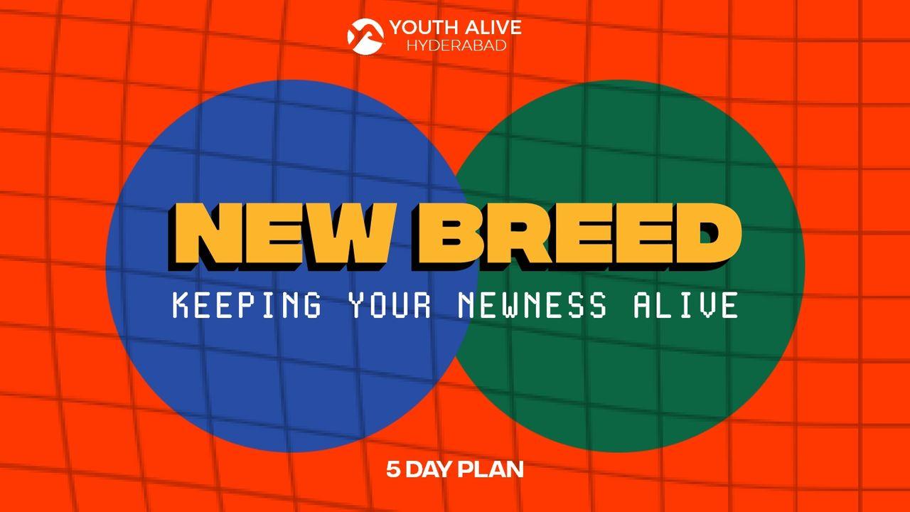 New Breed - Keeping Your Newness Alive