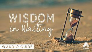 Wisdom in Waiting Salmi 13:1 Nuova Riveduta 2006