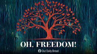 Oh, Freedom Isaiah 64:8 English Standard Version 2016