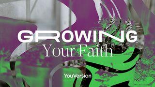 Growing Your Faith John 8:32, 36 New King James Version