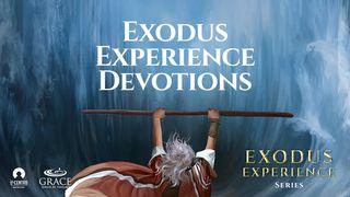 [Exodus Experience Series]  Exodus Experience Devotions 2. Mose 14:10-19 Darby Unrevidierte Elberfelder