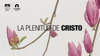 La plenitud de Cristo GÁLATAS 1:16 Dios Habla Hoy Versión Española