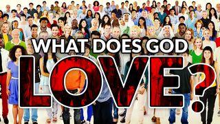 What Does God Love? 1 John 4:16 New English Translation