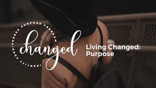 Living Changed: Purpose Proverbs 19:21 The Message