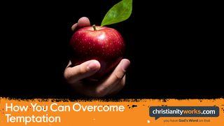 How You Can Overcome Temptation: Video Devotions Sananlaskut 11:1-26 Raamattu Kansalle