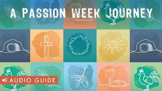 A Passion Week Journey Zeḵaryah (Zechariah) 9:9 The Scriptures 2009