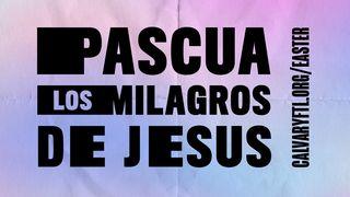 El Milagro de Pascua 1 Corintios 11:24 Nueva Versión Internacional - Español