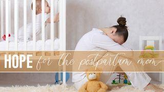 Hope for the Postpartum Mom Exodus 17:12 New Living Translation