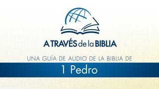 A través de la Biblia - Escucha el libro de 1 Pedro 1 Peter 2:7 New International Version