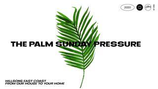 The Palm Sunday Pressure Luke 19:38 World English Bible, American English Edition, without Strong's Numbers