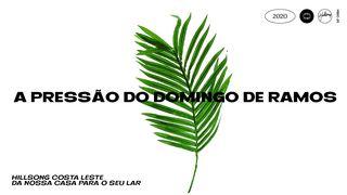 A Pressão do Domingo de Ramos Lucas 22:40 Nova Versão Internacional - Português