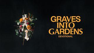 Graves Into Gardens: Restoring Hope in Dead Places 1 Crónicas 29:1-22 Biblia Reina Valera 1960