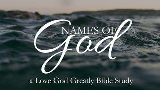 Names of God: Through Thanksgiving & Christmas Colossians 2:1 New Living Translation