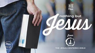 Nothing But Jesus  John 15:7 New Living Translation