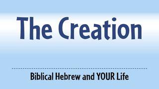 Three Words From The Creation Genesis 1:1 New Century Version