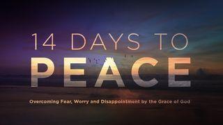 14 Days to Peace Numbers 13:25 Good News Translation (US Version)