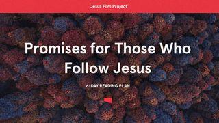 Promises for Those Who Follow Jesus Jono 16:20 A. Rubšio ir Č. Kavaliausko vertimas su Antrojo Kanono knygomis