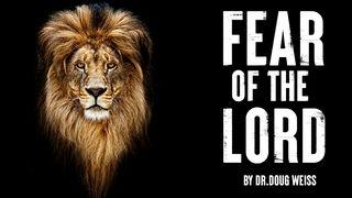 Fear of the Lord Proverbios 1:1 Nueva Versión Internacional - Español