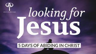 Looking for Jesus Lukas 24:31-32 Neue Genfer Übersetzung