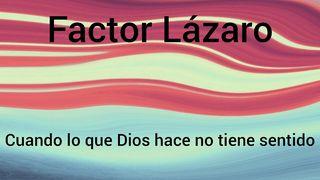Factor Lázaro  Juan 11:24 Nueva Traducción Viviente