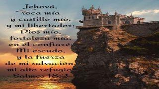 Descansando en el cuidado y protección de nuestro fiel Dios Salmo 18:20 Nueva Versión Internacional - Español
