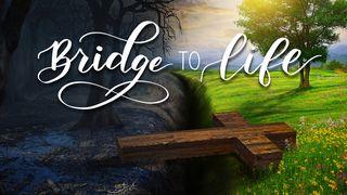 Bridge to Life От Иоанна святое благовествование 5:24 Синодальный перевод