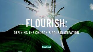 Flourish: Defining the Church's Role in Creation Psalmynas 115:5 A. Rubšio ir Č. Kavaliausko vertimas su Antrojo Kanono knygomis