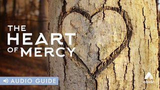 The Heart of Mercy Colossians 1:13 New American Bible, revised edition