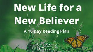 New Life for a New Believer Marek 2:27 Český studijní překlad