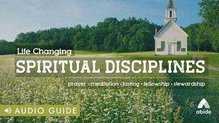 Life Changing Spiritual Disciplines Joel 2:12-13,23-27 New Living Translation