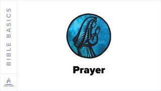 Bible Basics Explained | Prayer Matthew 6:5 The Message