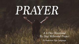 A Dive Into Prayer Luke 11:1-13 Amplified Bible, Classic Edition