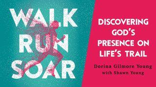 Walk Run Soar: Discovering God's Presence on Life's Trail  John 1:8 New International Version