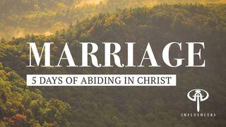 Marriage 1 Corinthians 7:5 New Living Translation