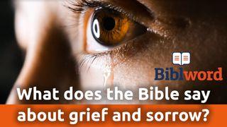 What Does The Bible Say About Grief And Sorrow? Lamentations 3:27 New Living Translation